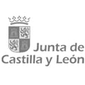 logo-28-junta-castilla-leon