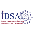 logo-13-ibisa copy