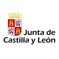 logo-28-junta-castilla-leon copy